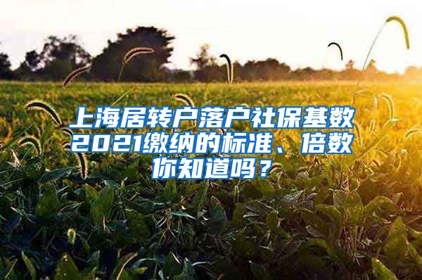 上海居转户落户社保基数2021缴纳的标准、倍数你知道吗？