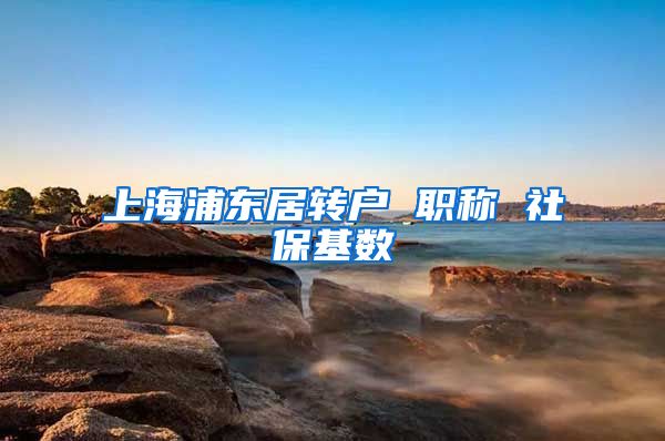 上海浦东居转户 职称 社保基数