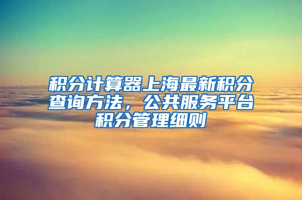 积分计算器上海最新积分查询方法，公共服务平台积分管理细则