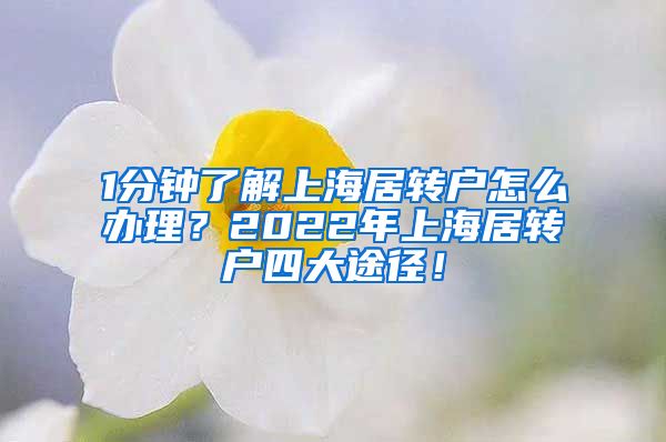1分钟了解上海居转户怎么办理？2022年上海居转户四大途径！