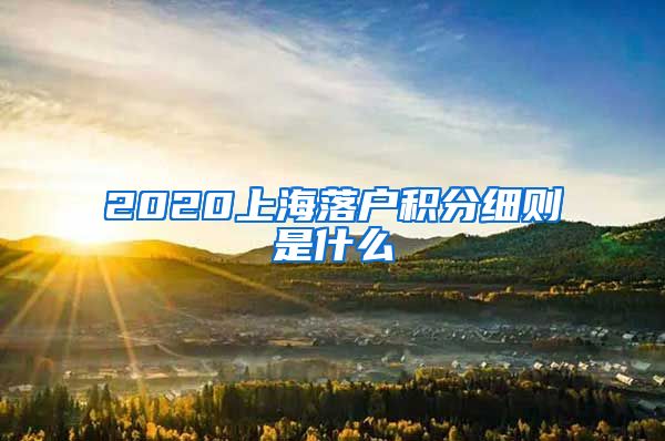 2020上海落户积分细则是什么