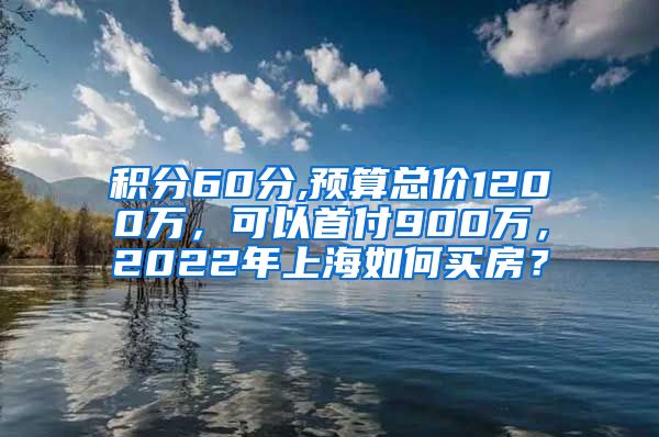 积分60分,预算总价1200万，可以首付900万，2022年上海如何买房？