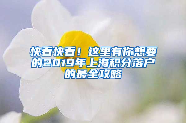 快看快看！这里有你想要的2019年上海积分落户的最全攻略