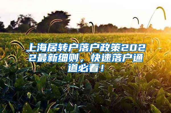 上海居转户落户政策2022最新细则，快速落户通道必看！