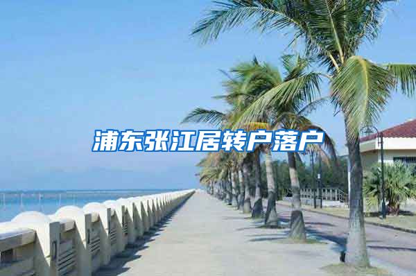 浦东张江居转户落户