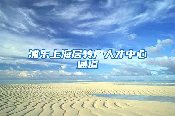 浦东上海居转户人才中心通道