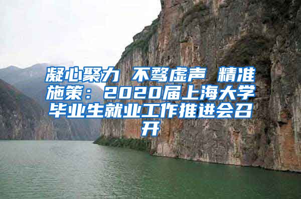 凝心聚力 不骛虚声 精准施策：2020届上海大学毕业生就业工作推进会召开