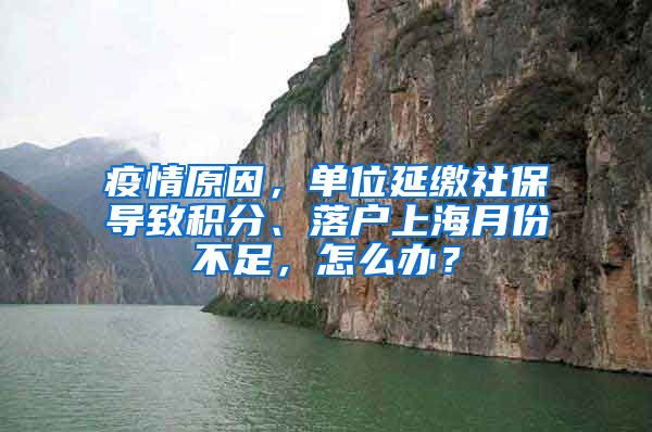 疫情原因，单位延缴社保导致积分、落户上海月份不足，怎么办？