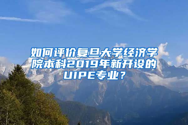 如何评价复旦大学经济学院本科2019年新开设的UIPE专业？