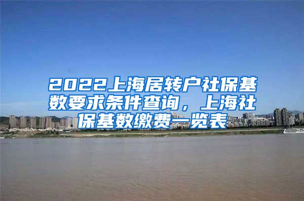 2022上海居转户社保基数要求条件查询，上海社保基数缴费一览表