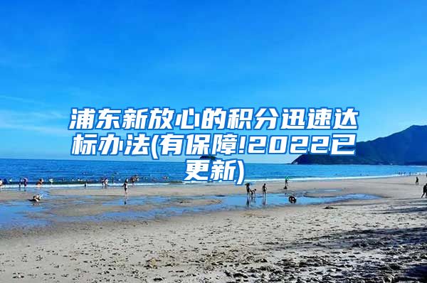 浦东新放心的积分迅速达标办法(有保障!2022已更新)