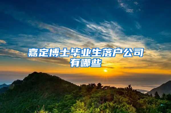 嘉定博士毕业生落户公司有哪些