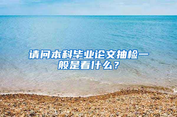 请问本科毕业论文抽检一般是看什么？