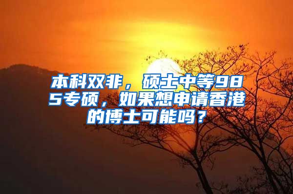 本科双非，硕士中等985专硕，如果想申请香港的博士可能吗？