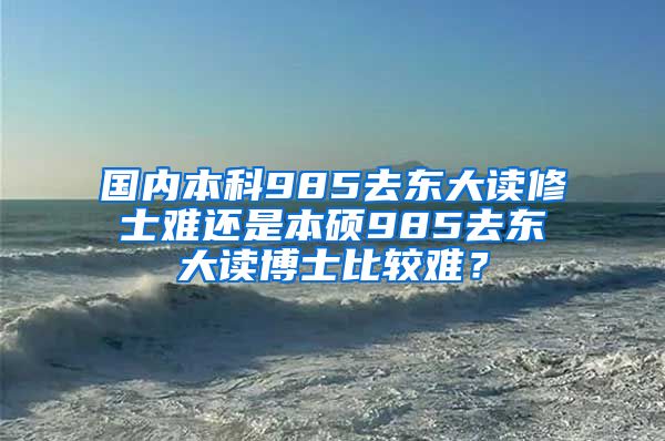 国内本科985去东大读修士难还是本硕985去东大读博士比较难？