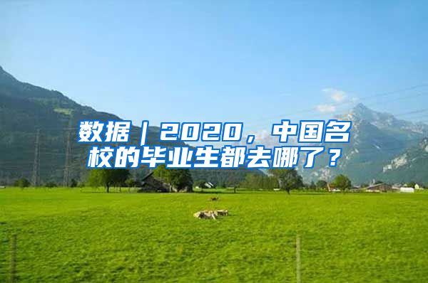 数据｜2020，中国名校的毕业生都去哪了？