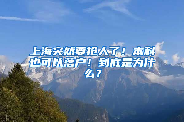 上海突然要抢人了！本科也可以落户！到底是为什么？