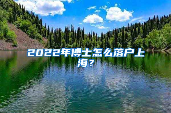 2022年博士怎么落户上海？