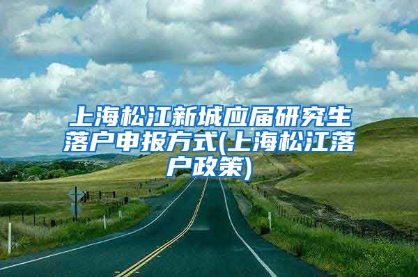 上海松江新城应届研究生落户申报方式(上海松江落户政策)