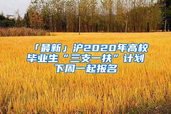 「最新」沪2020年高校毕业生“三支一扶”计划下周一起报名