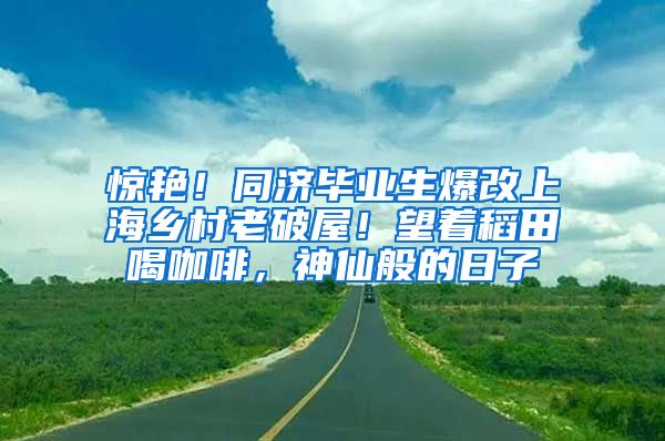 惊艳！同济毕业生爆改上海乡村老破屋！望着稻田喝咖啡，神仙般的日子