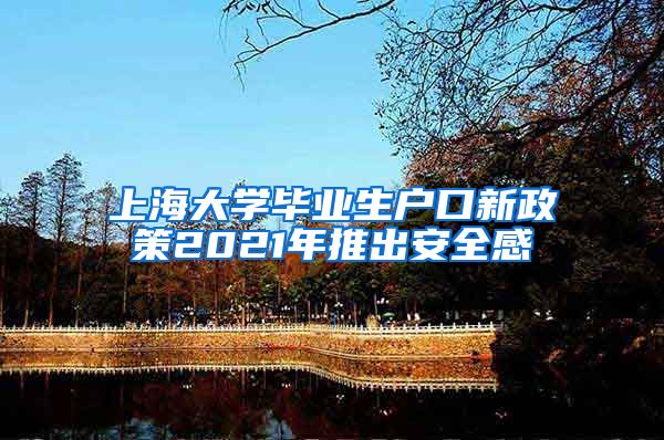 上海大学毕业生户口新政策2021年推出安全感
