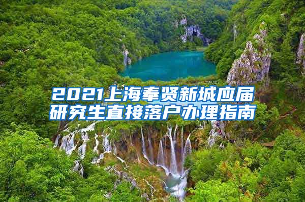 2021上海奉贤新城应届研究生直接落户办理指南