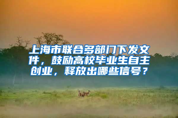 上海市联合多部门下发文件，鼓励高校毕业生自主创业，释放出哪些信号？