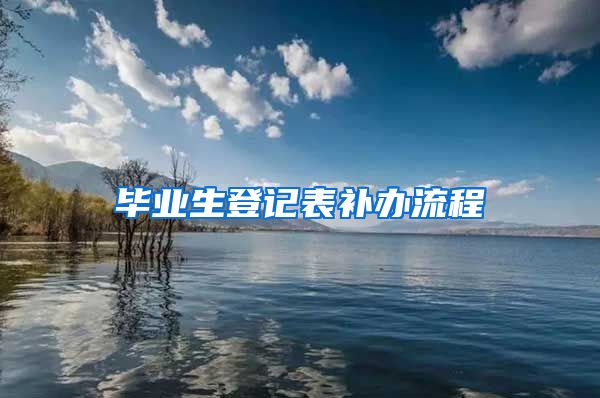 毕业生登记表补办流程