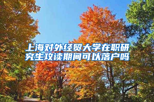 上海对外经贸大学在职研究生攻读期间可以落户吗