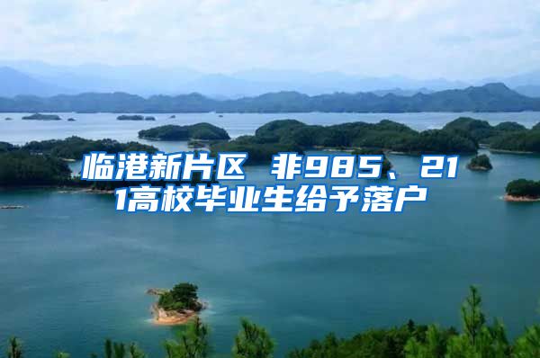 临港新片区 非985、211高校毕业生给予落户