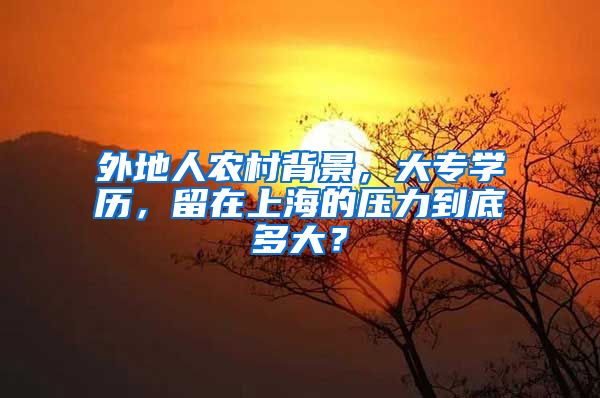 外地人农村背景，大专学历，留在上海的压力到底多大？