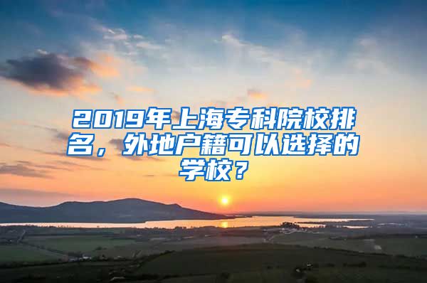 2019年上海专科院校排名，外地户籍可以选择的学校？