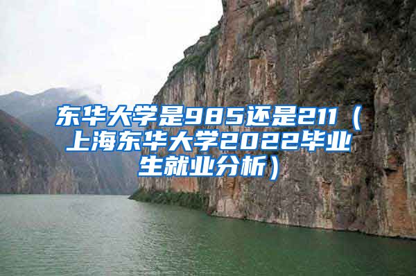 东华大学是985还是211（上海东华大学2022毕业生就业分析）