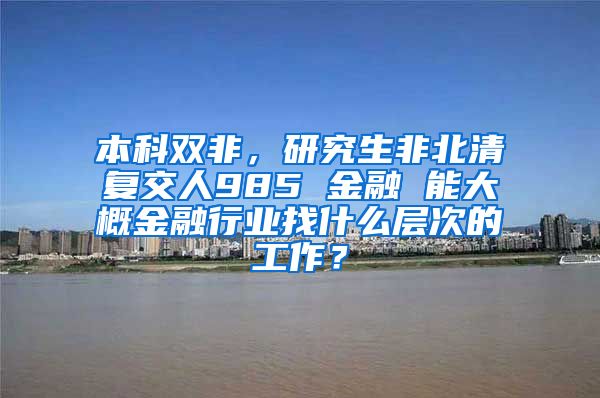 本科双非，研究生非北清复交人985 金融 能大概金融行业找什么层次的工作？