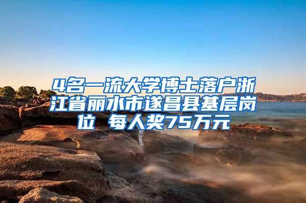 4名一流大学博士落户浙江省丽水市遂昌县基层岗位 每人奖75万元