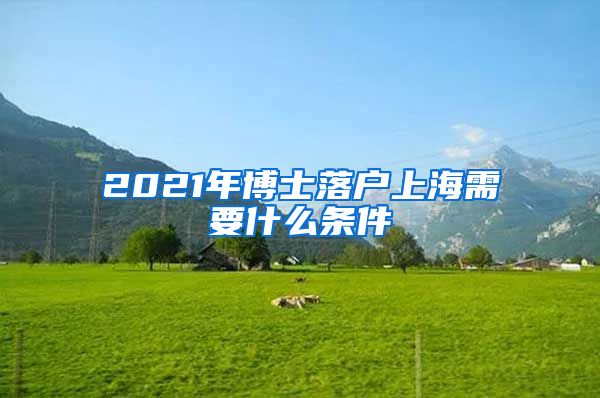 2021年博士落户上海需要什么条件