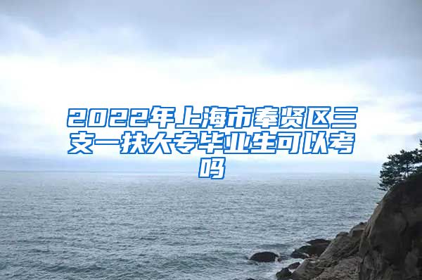 2022年上海市奉贤区三支一扶大专毕业生可以考吗