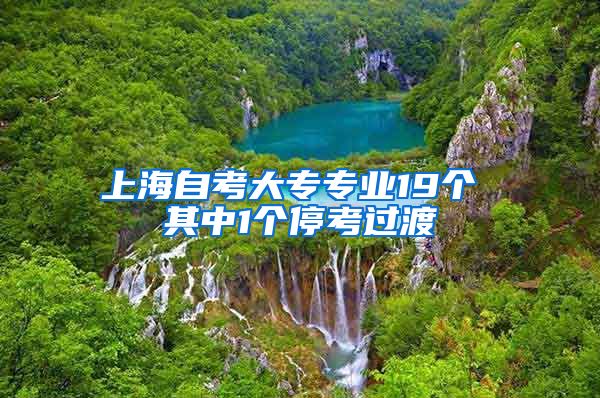 上海自考大专专业19个 其中1个停考过渡