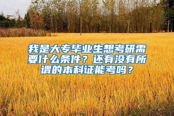 我是大专毕业生想考研需要什么条件？还有没有所谓的本科证能考吗？