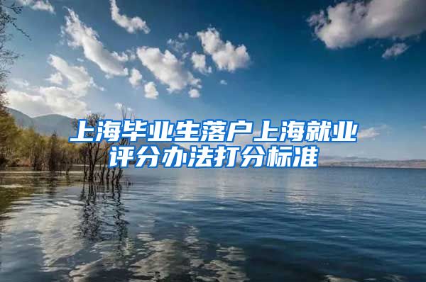 上海毕业生落户上海就业评分办法打分标准