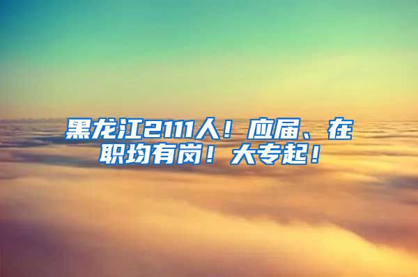 黑龙江2111人！应届、在职均有岗！大专起！