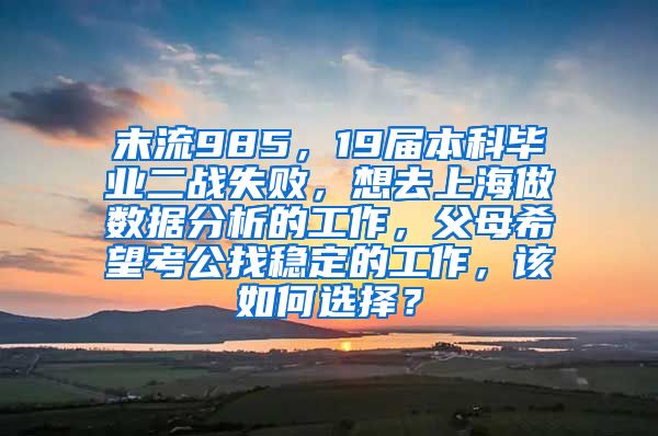 末流985，19届本科毕业二战失败，想去上海做数据分析的工作，父母希望考公找稳定的工作，该如何选择？