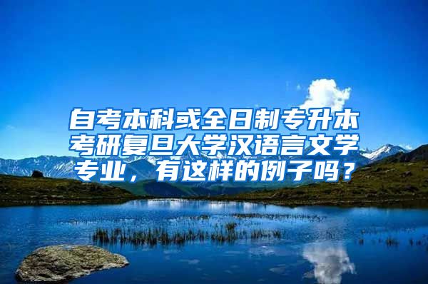 自考本科或全日制专升本考研复旦大学汉语言文学专业，有这样的例子吗？