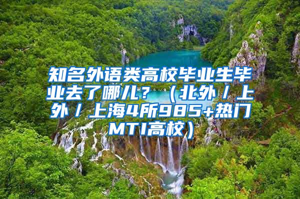 知名外语类高校毕业生毕业去了哪儿？（北外／上外／上海4所985+热门MTI高校）