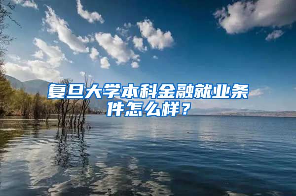 复旦大学本科金融就业条件怎么样？